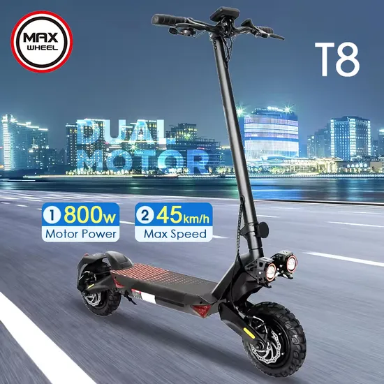 Foldable Electric Scooter 800W 2 Wheels Folding Electric Vehicle Adult