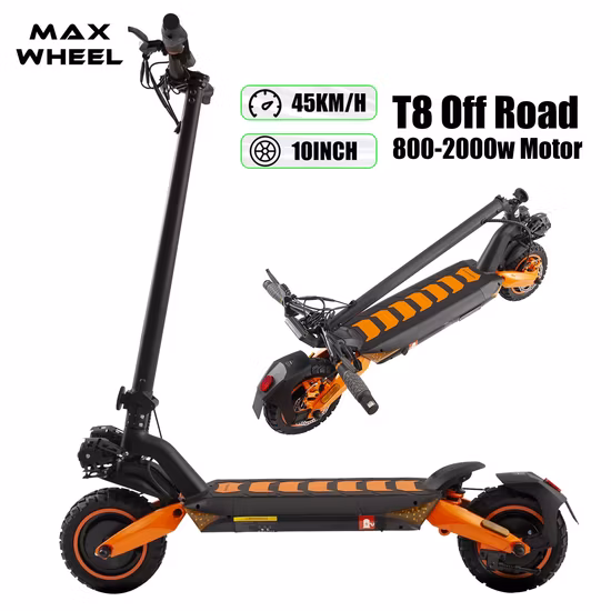 Foldable Electric Scooter 800W 2 Wheels Folding Electric Vehicle Adult